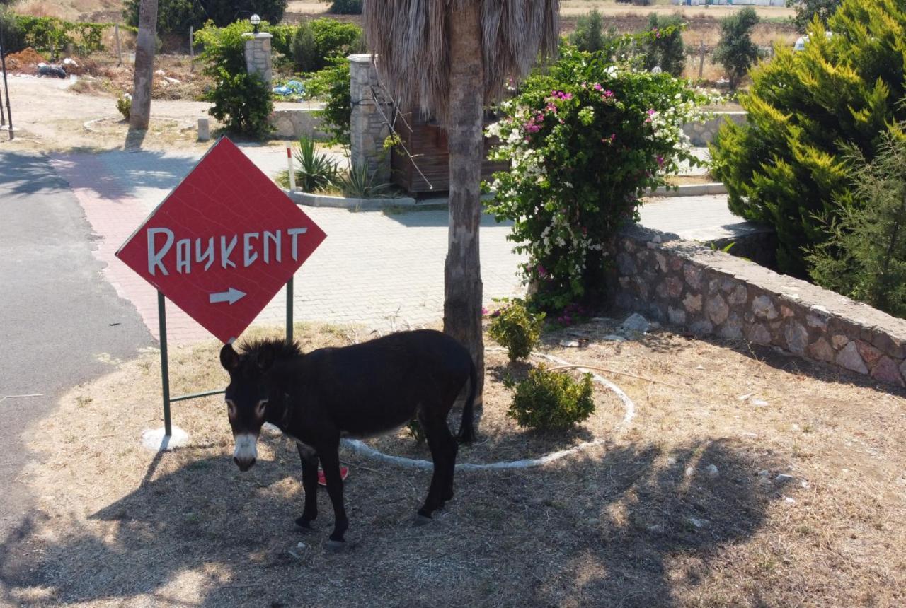 Villa Ernis - Datca Raykent Tatil Sitesi - Kiralik Esterno foto